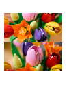 LEGO Botanicals 11501 Tulip Bouquet - nr 6