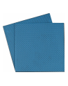 Thermal Grizzly Minus Pad Advance - 100x100x1.0 mm, thermal pads (pack of 2) - nr 12