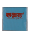 Thermal Grizzly Minus Pad Advance - 100x100x1.0 mm, thermal pads (pack of 2) - nr 18