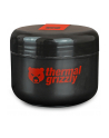 Thermal Grizzly Putty Advance 100g (blue) - nr 18