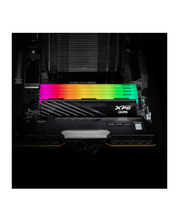 ADATA DDR5 - 32GB - 6000 - CL - 36 (2x 16 GB) dual kit (black, AX5U6000C3616G-DTLABRBK, XPG Lancer Blade RGB, INTEL XMP, AMD EXPO)