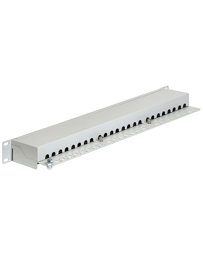 DeLOCK 19  patch panel 24 port Cat.6 (grey, 1 U) główny