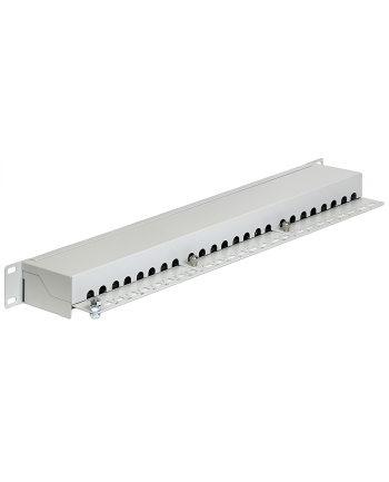 DeLOCK 19  patch panel 24 port Cat.6 (grey, 1 U)