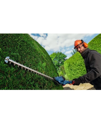Bosch GHE 18V-50 TP Akku-Freischneider nr 2