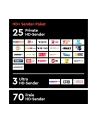 HD+ HD+ module including HD+ channel package for 6 months, smart card - nr 5