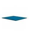Thermal Grizzly Minus Pad Advance - 100x100x1.0 mm, thermal pads (pack of 2) - nr 11