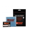 Thermal Grizzly Minus Pad Advance - 100x100x1.0 mm, thermal pads (pack of 2) - nr 21