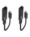 Lindy Fibre Optic USB 3.2 Type C Extender (black, max. range 100 meters) - nr 1