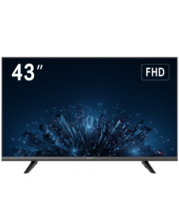 Monitor Hikvision 43'' DS-D5043F3-1V0S FHD (24/7)