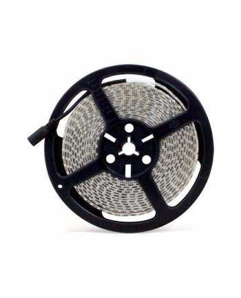 Taśma LED-2835 Abilite b.zimna 600LED 12V 48W IP65 5m/8mm silikon