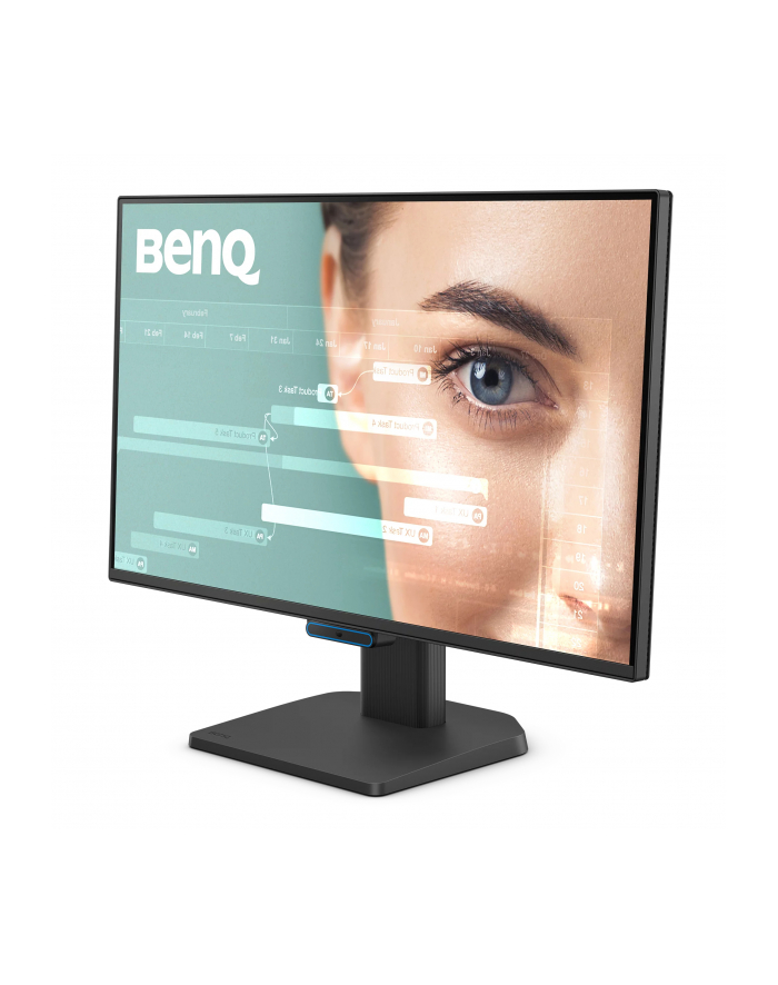 benq Monitor 23.8 cala GW2490C LED 5ms/IPS/HDMI/USB/144Hz główny