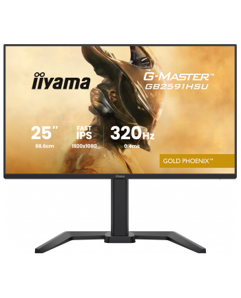 iiyama Monitor 25 '' GB2591HSU-B1 0.4ms, DP, 2xHDMI 2.1, 320Hz, Fast IPS, USB HUB x4 nr 2