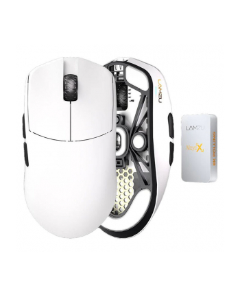 Lamzu Maya X Biały (MAYAXWHT8K) nr 2