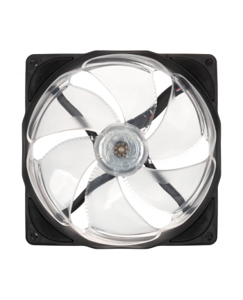 Wentylator komputerowy Noiseblocker (ITRB12XPBL)