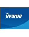 iiyama Monitor 27 '' X2793QSU-B1 IPS, QHD, HDMI, DP, 2xUSB - nr 20
