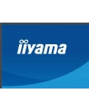 iiyama Monitor 27 '' X2793QSU-B1 IPS, QHD, HDMI, DP, 2xUSB - nr 2