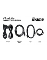 iiyama Monitor 27 '' XB2793QSU-B1 IPS, QHD, HDMI, DP, 2xUSB - nr 41