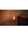 Philips Hue White and color ambiance Inteligentna żarówka A60 E27 - 810 | 2 szt. - nr 10