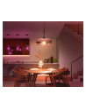 Philips Hue White and color ambiance Inteligentna żarówka A60 E27 - 810 | 2 szt. - nr 9