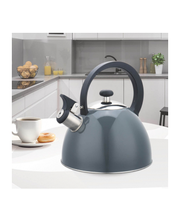 feel-maestro Czajnik nieelektryczny 2,5 l MR-1302-GREY