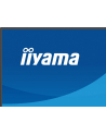 iiyama Monitor 27 '' X2793QSU-B1 IPS, QHD, HDMI, DP, 2xUSB - nr 25