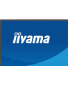 iiyama Monitor 27 '' XB2791QS-B1 IPS, QHD, HDMI, DP - nr 49