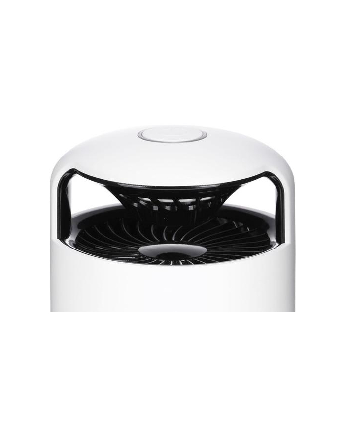 STYLIES MOSQUITO TRAP PICTORIS/COP001121 COP001121 główny