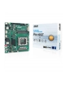 Asus PRO H810T-CSM (INTEL,1851,DDR5,thin mITX) - nr 1