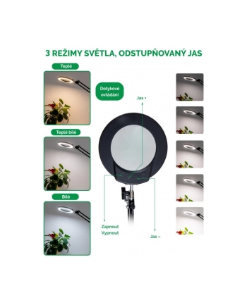 Immax Lampa Stołowa Zoom (1678110) nr 2