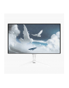 Arozzi Nova 24'' AZNO24T1K200WT 23,8'' 24T1K200 White/ LED/ 1920x1080/ 200Hz/ IPS/ 1000:1/ 1ms/ HDMI/ DP/ bílý - nr 1
