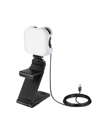 Neewer PL81 PRO Światło do studia