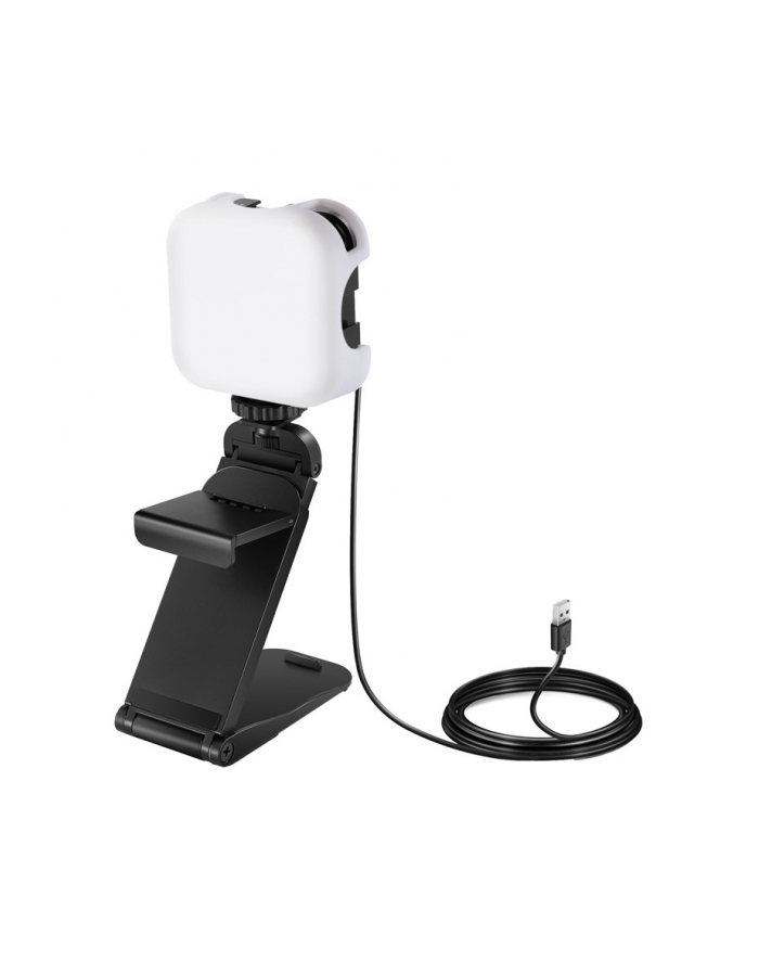 Neewer PL81 PRO Światło do studia główny