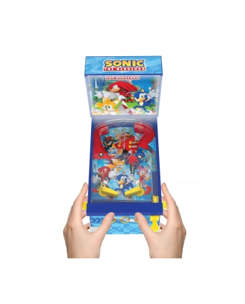 Ambassador Sonic Collectible Pinball