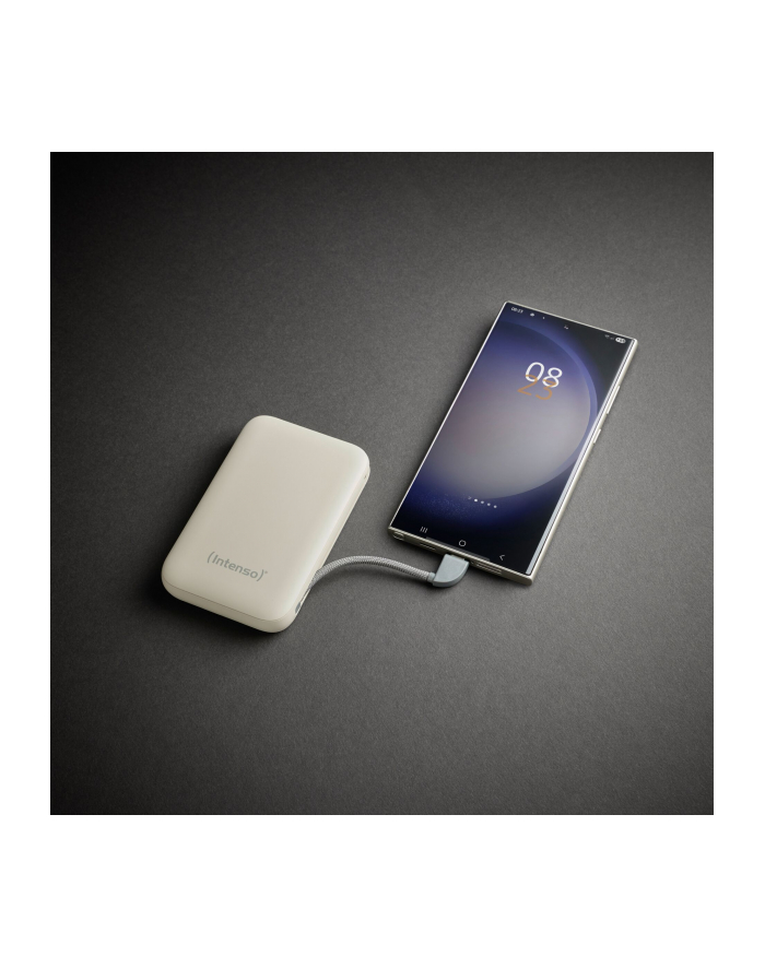 Intenso Powerb. S10000  10000mAh integr.USB-C Kabel,beige 7333031 główny