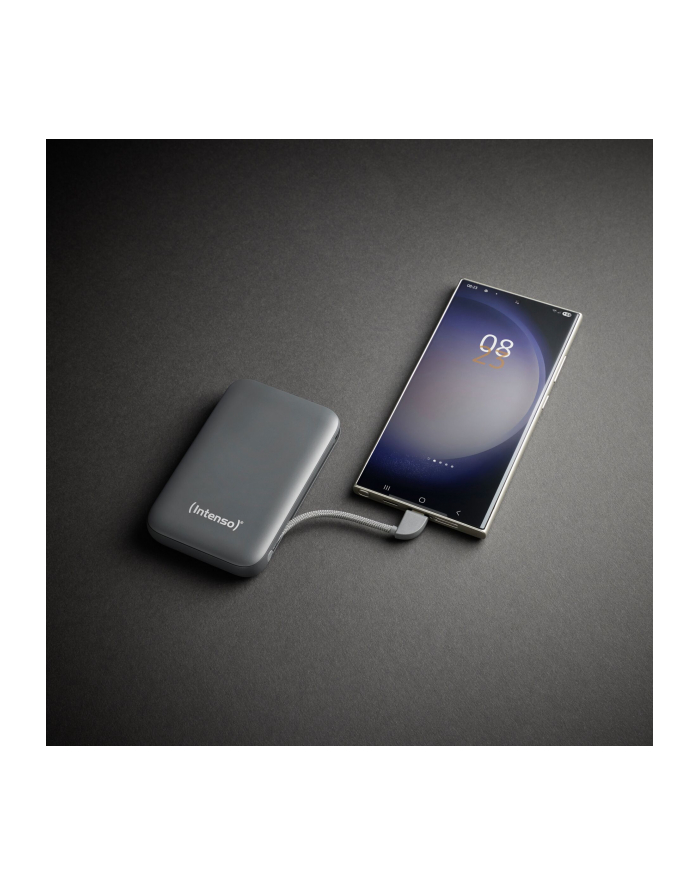 Intenso Powerb. S10000  10000mAh integr.USB-C Kabel, Szary 7333034 główny