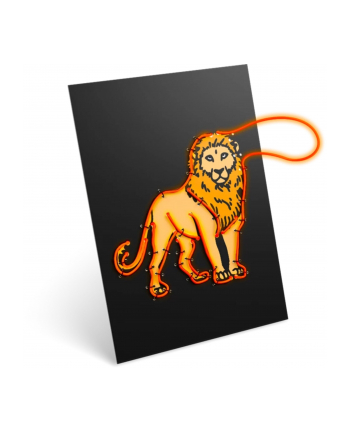 Kidywolf Illuminated Wall Decoration Kit 3-pieces Animals