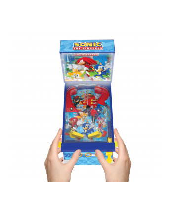 Ambassador Sonic Collectible Pinball
