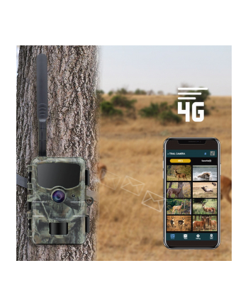 Stealth Gear Hedgehog 1080p 4G Wildkamera nr 1