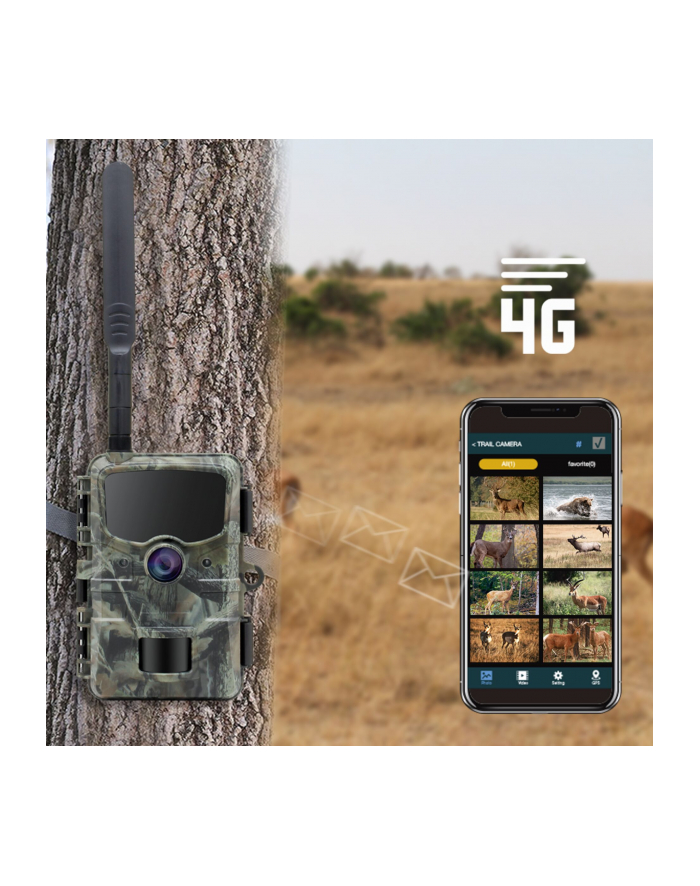 Stealth Gear Hedgehog 1080p 4G Wildkamera główny