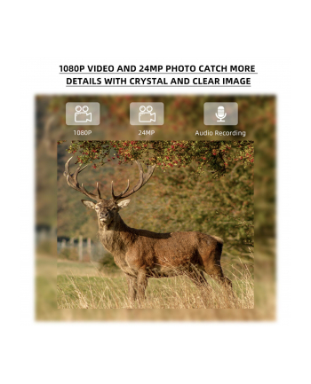 Stealth Gear Hedgehog 1080p 4G Wildkamera nr 2