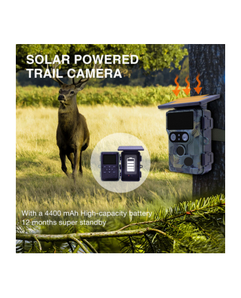 Stealth Gear Nightjar Dual Solar Wildkamera