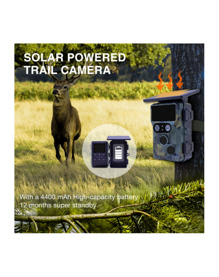 Stealth Gear Nightjar Dual Solar Wildkamera główny
