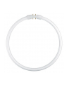 Osram Circular Fluorescent Lamp T5 FC22W 840 2GX13 - nr 1