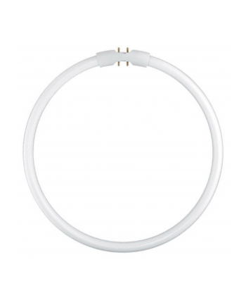 Osram Circular Fluorescent Lamp T5 FC22W 840 2GX13