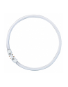 Osram Circular Fluorescent Lamp T5 FC40W 830 2GX13 - nr 1
