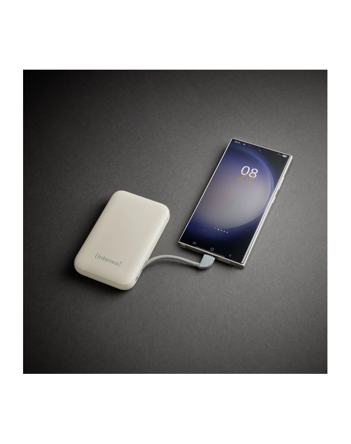 Intenso Powerb. S10000  10000mAh integr.USB-C Kabel,beige 7333031 główny