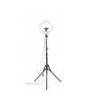 Hama SpotLight Steady 120 III LED-Ringleuchte f. Smartphone - nr 32