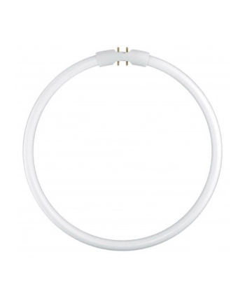 Osram Circular Fluorescent Lamp T5 FC22W 840 2GX13