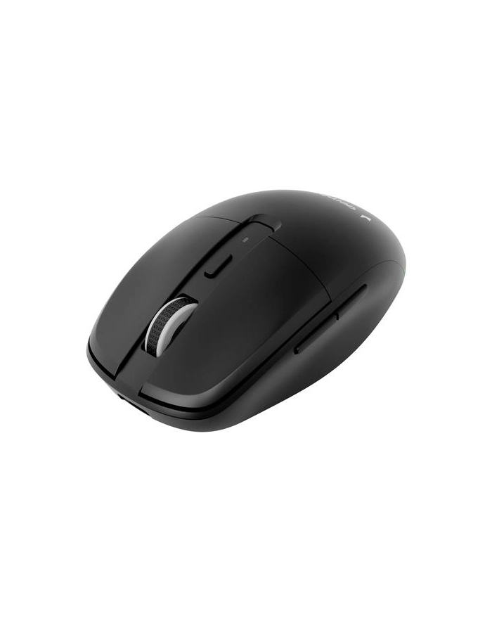 GEMBIRD Mysz bezprzewodowa Dual-Mode 2.4G + BT 6 przycisków kolor czarny główny