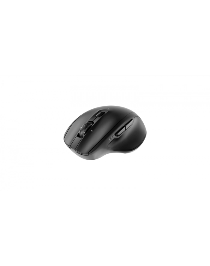 GEMBIRD Mysz bezprzewodowa Dual-Mode 2.4G + BT 6 przycisków kolor czarny główny